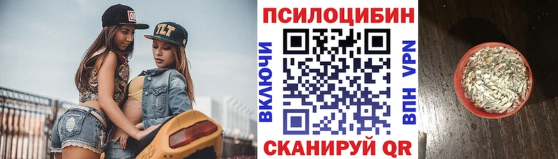 блэк спрут   Светлогорск  Псилоцибиновые грибы GOLDEN TEACHER 